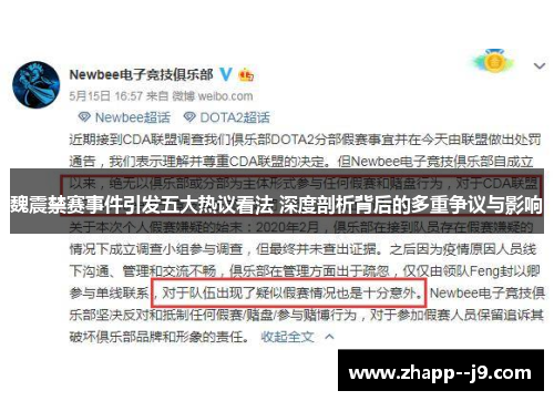 魏震禁赛事件引发五大热议看法 深度剖析背后的多重争议与影响